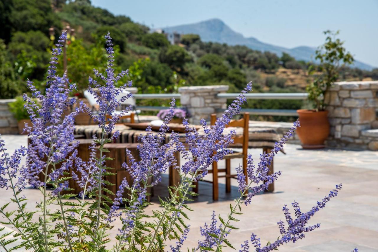 Elaiolithos - Luxury Villa Suites - Adults Only Khalkion Экстерьер фото
